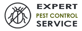 Pro Exterminator Company  Fort Lauderdale FL